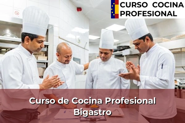 Curso de Cocina Profesional en Bigastro