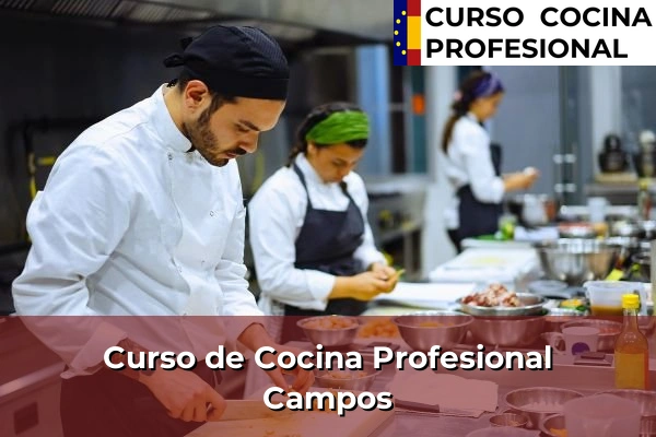 Curso de Cocina Profesional en Campos