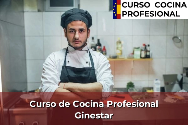 Curso de Cocina Profesional en Gines