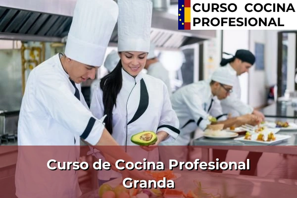 Curso de Cocina Profesional en Granda