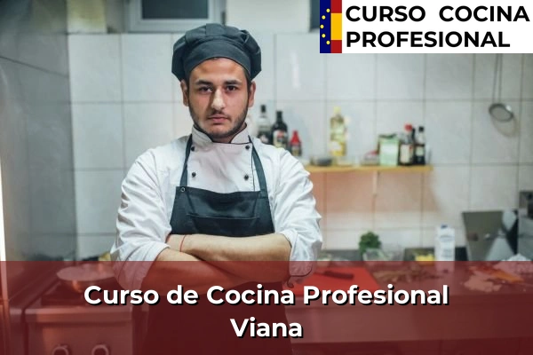 Curso de Cocina Profesional en Navarra 33 Curso de Cocina Profesional en Viana